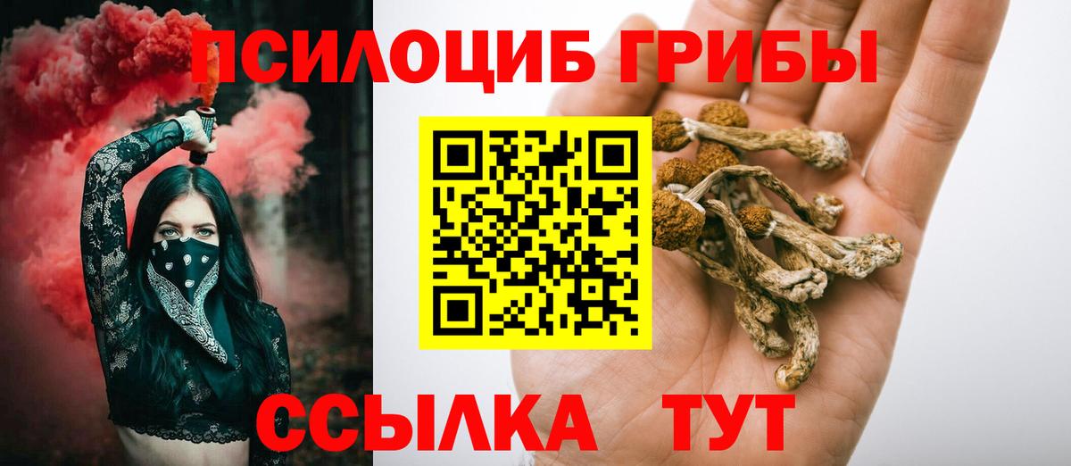 Родники  Псилоцибиновые грибы Magic Shrooms  сколько стоит  Вход с VPN 