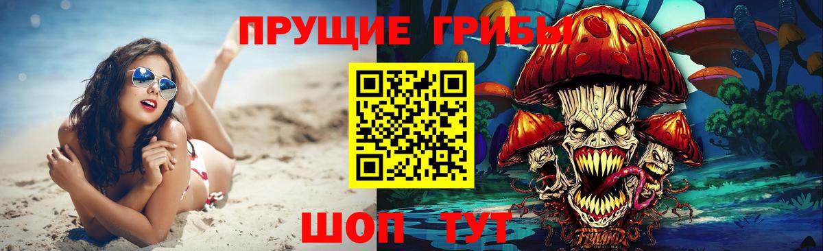Псилоцибиновые грибы Psilocybe Родники